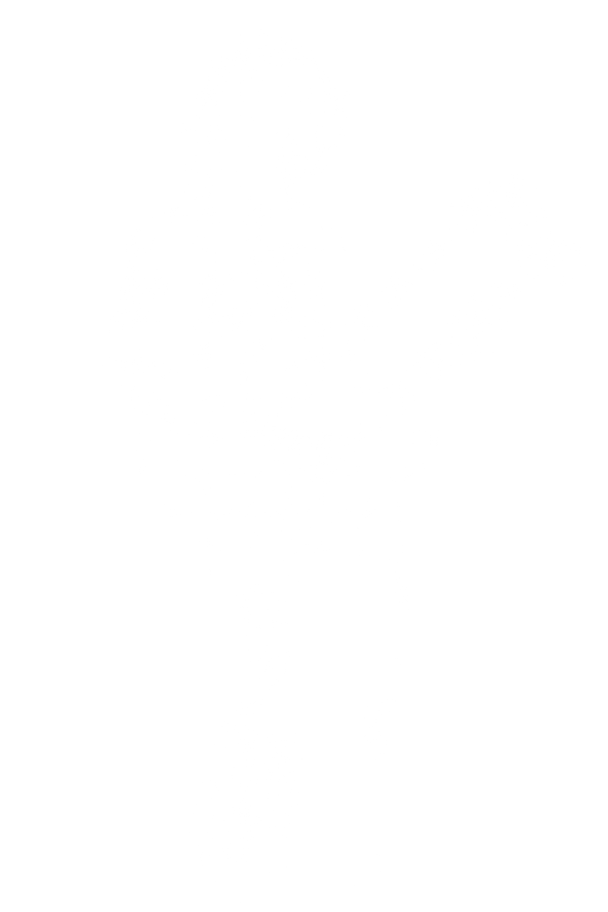 Jimmy Page / Led Zeppelin