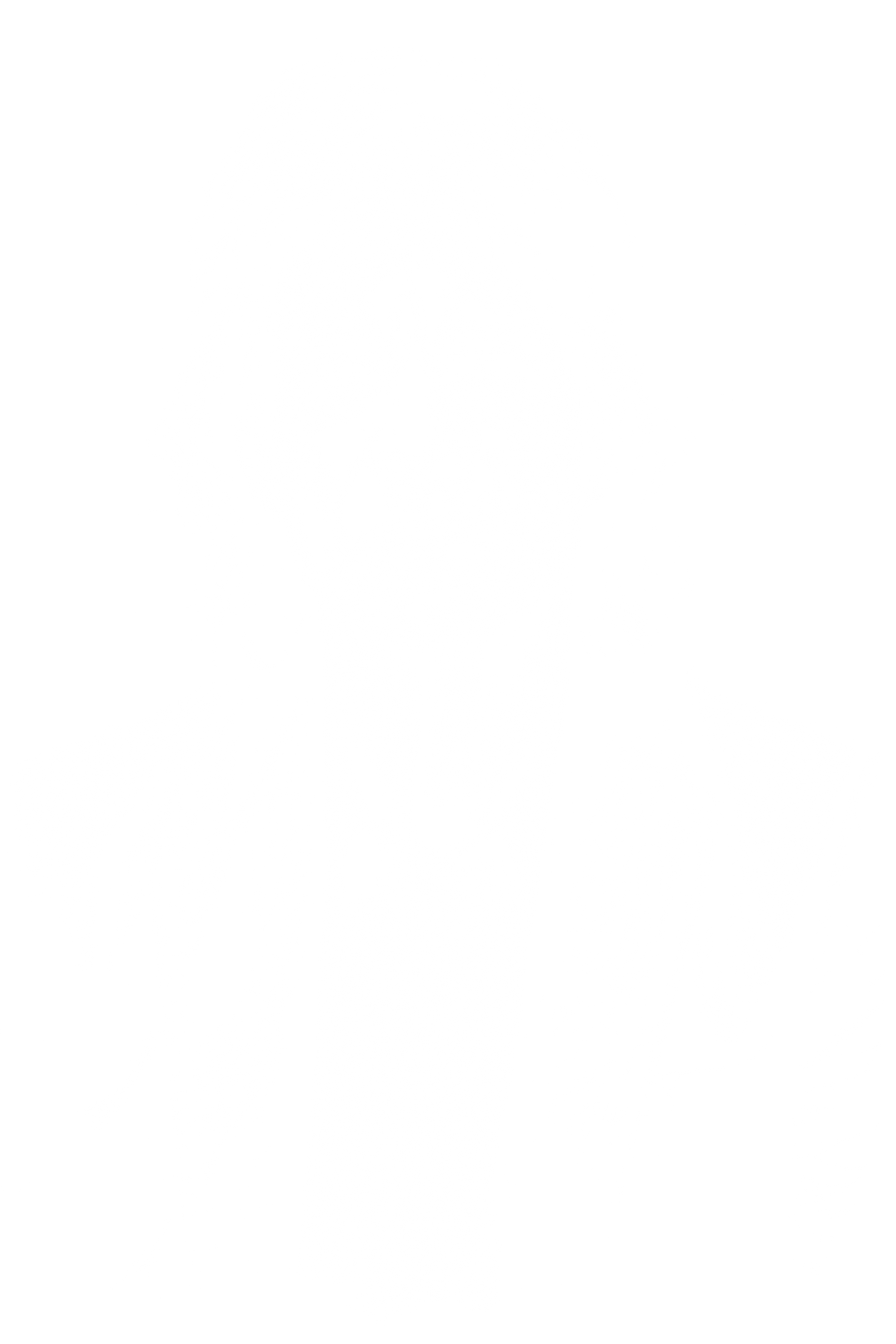 Mick Jagger / The Rolling Stones