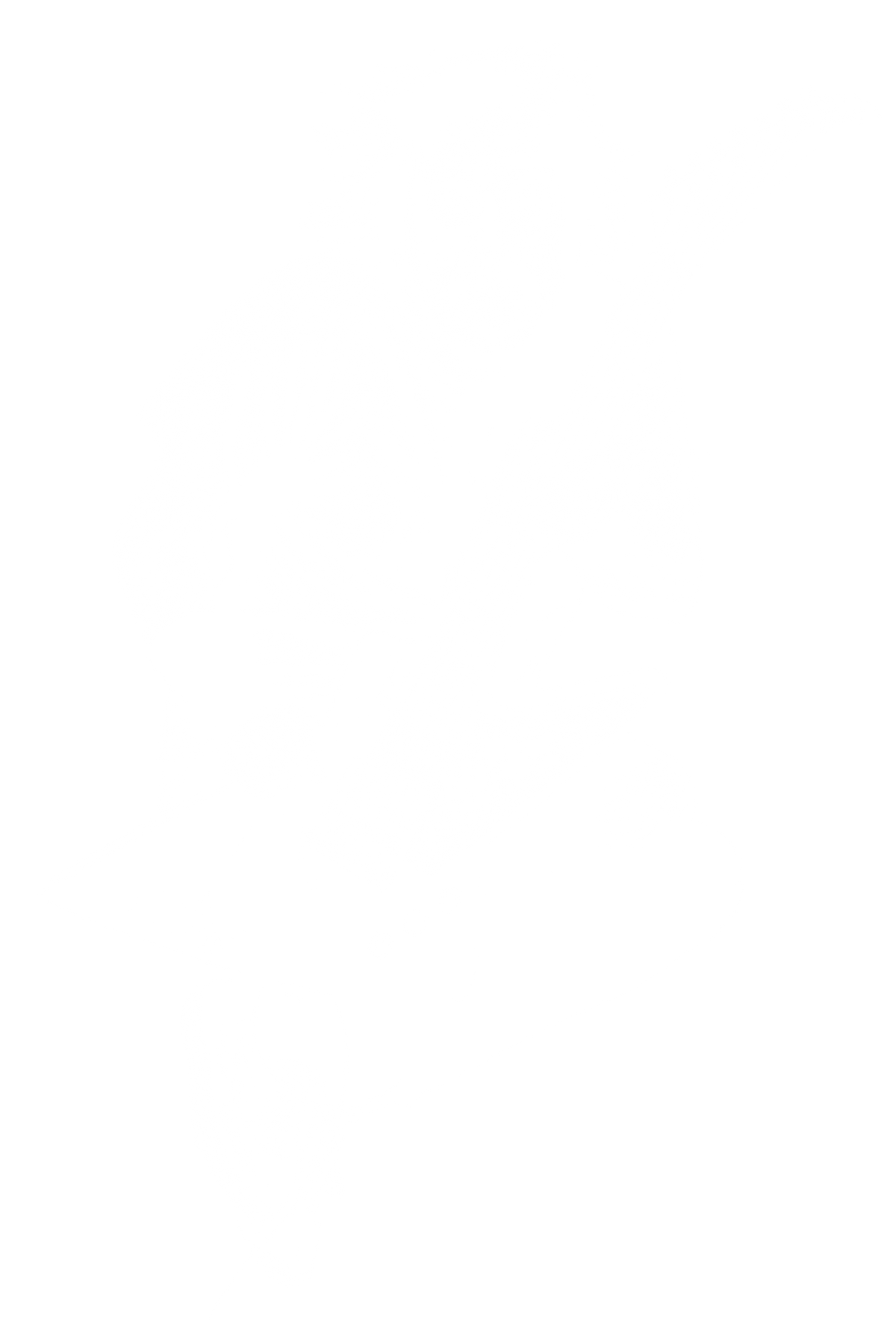Dave Grohl / Foo Fighters