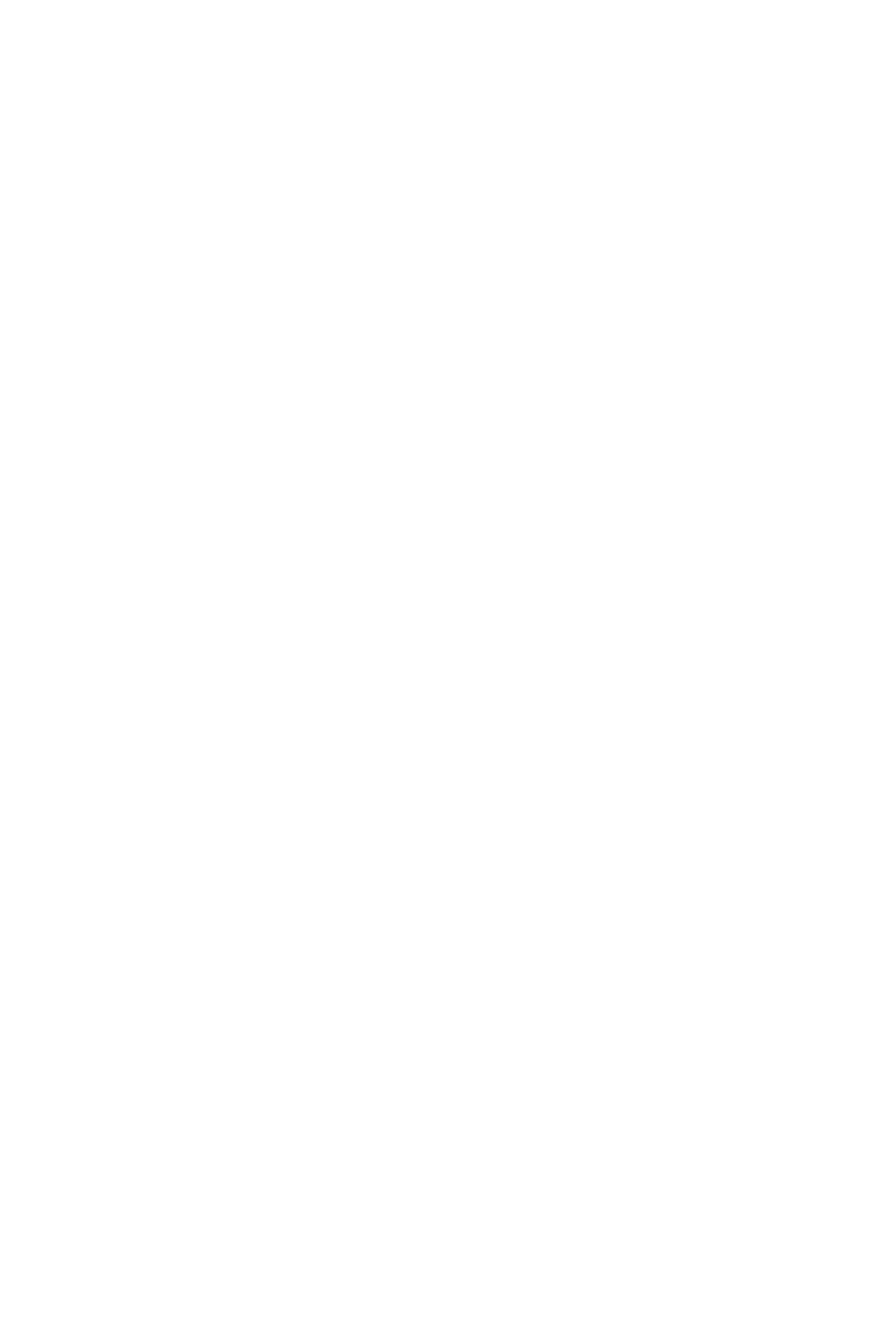 Polera Freddie Mercury / Queen