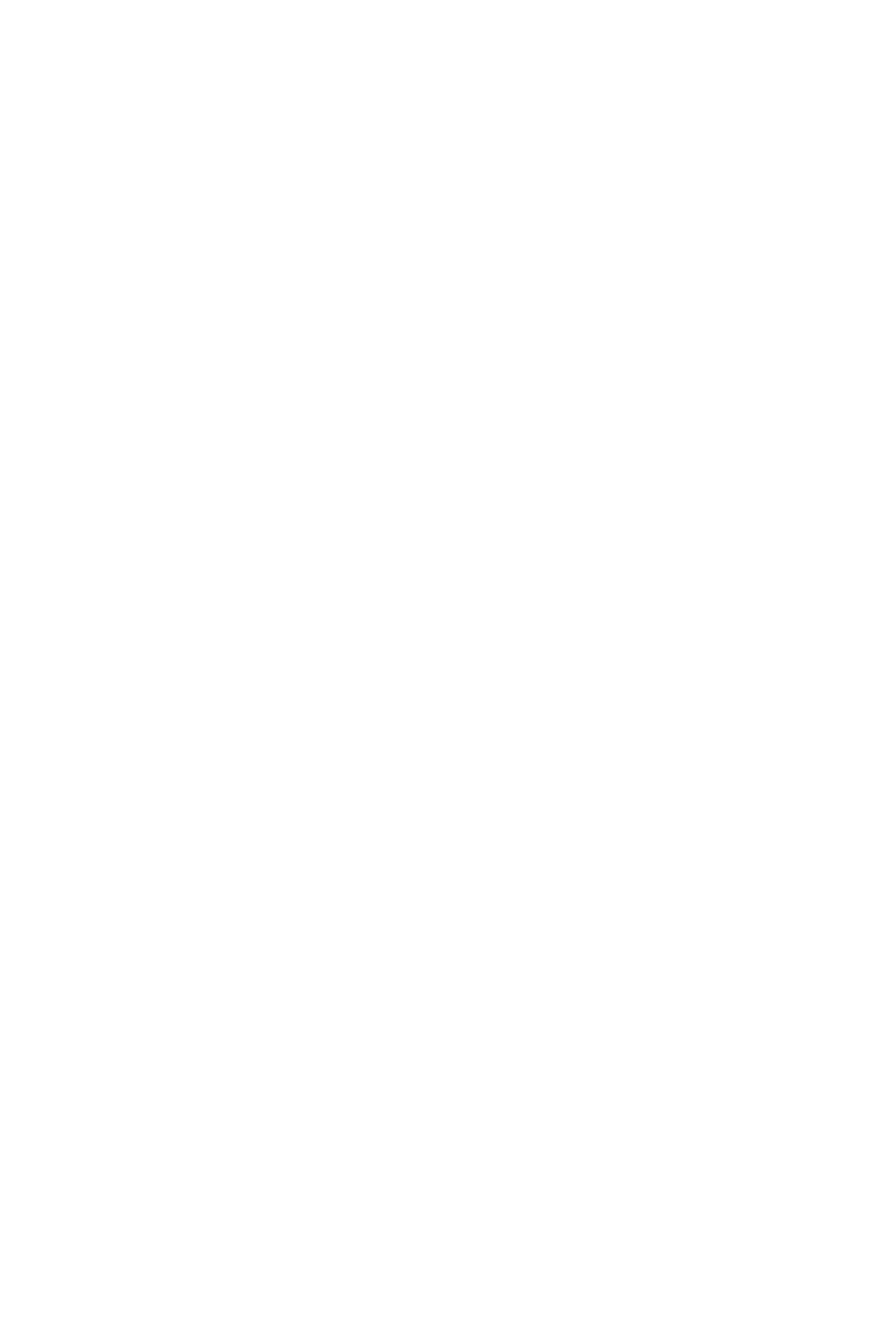 Polera Kurt Cobain Vol III
